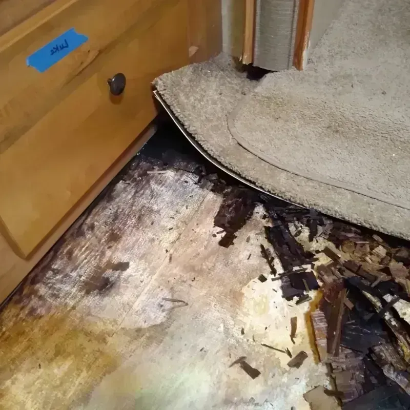 Wood Floor Water Damage in Garrison, MD